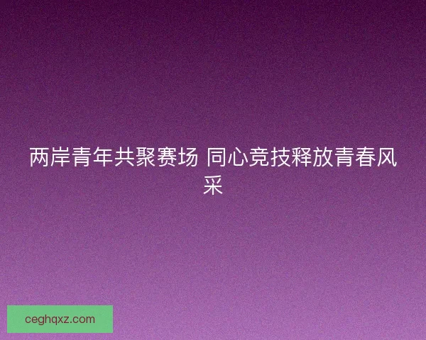 两岸青年共聚赛场 同心竞技释放青春风采