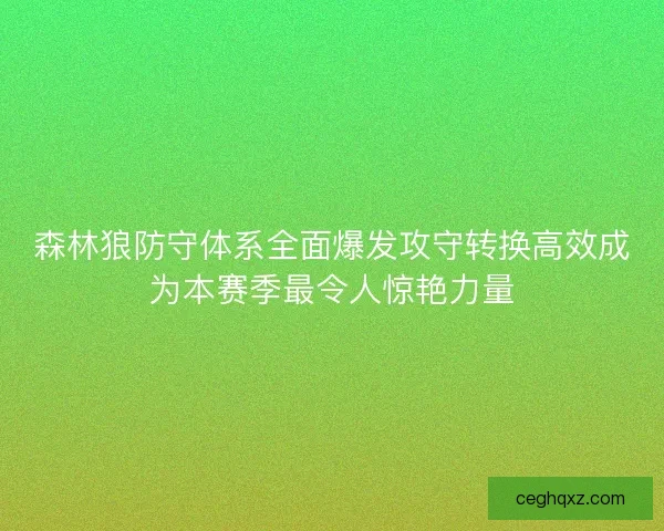 森林狼防守体系全面爆发攻守转换高效成为本赛季最令人惊艳力量