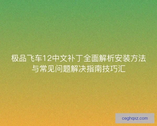 极品飞车12中文补丁全面解析安装方法与常见问题解决指南技巧汇