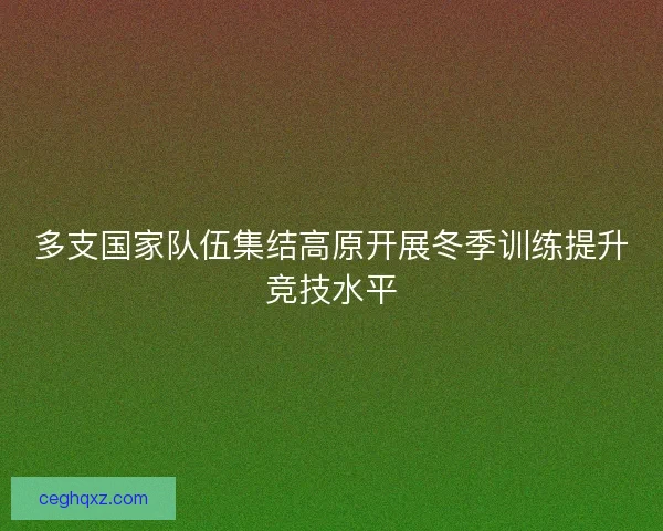 多支国家队伍集结高原开展冬季训练提升竞技水平